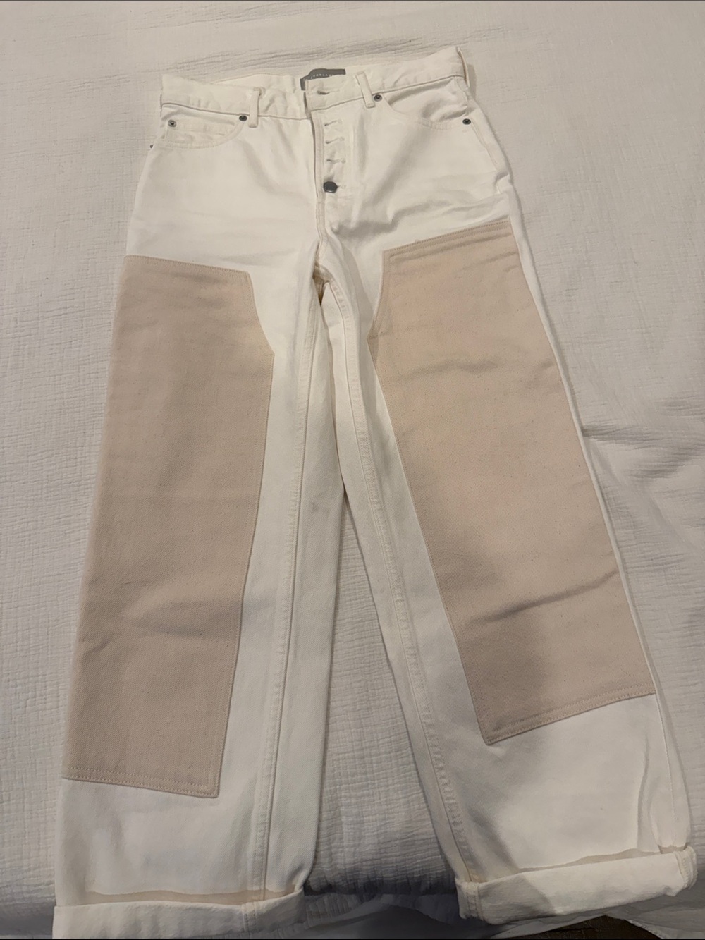 Everlane The Painter Pants with Beige Knee Panels